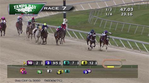 tampa bay downs race track replays
